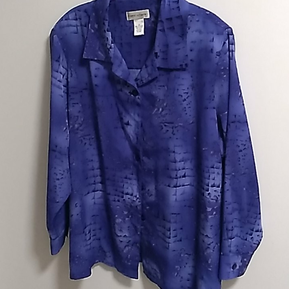 Draper's & Damon's Blue Button Down Blouse